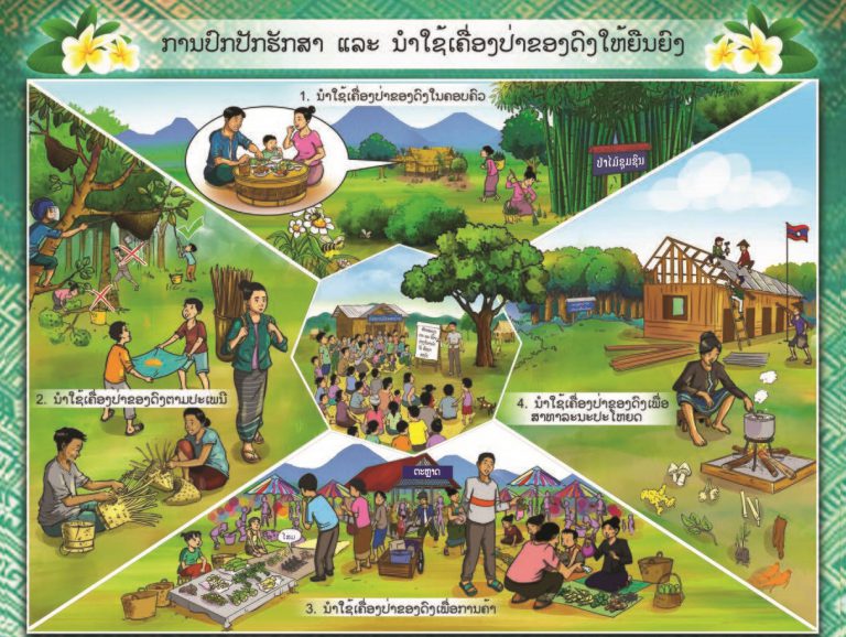 ການປົກປັກຮັກສາ ແລະ ນໍາໃຊ້ເຄື່ອງປ່າຂອງດົງໃຫ້ຍືນຍົງ: ປະຕິທິນກົດໝາຍເດືອນ ກັນຍາ – ຕຸລາ 2021